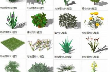SketchUp Materials: Ground Cover Plants, Trees, and Landscape Components-BIM WORLD