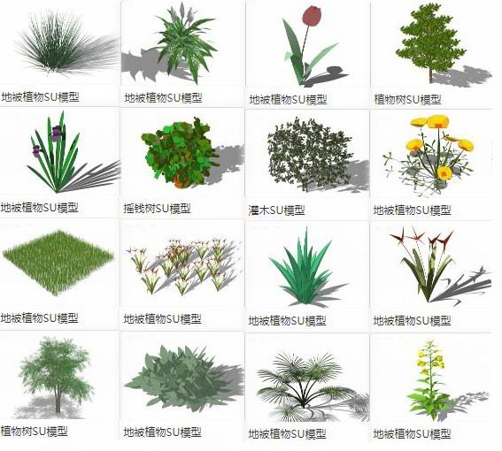 SketchUp Materials: Ground Cover Plants, Trees, and Landscape Components