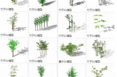 SketchUp Materials: Bamboo Leaves, Branches, Clusters, and Plant Landscape Components-BIM WORLD