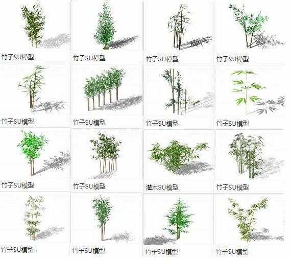 SketchUp Materials: Bamboo Leaves, Branches, Clusters, and Plant Landscape Components