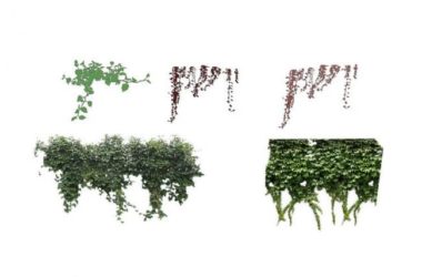 SketchUp Materials: Climbing Vines, Shrubs, and Landscape Components-BIM WORLD