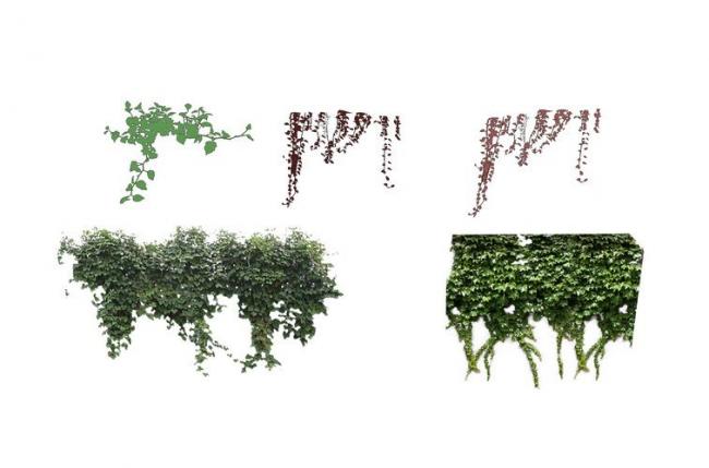 SketchUp Materials: Climbing Vines, Shrubs, and Landscape Components