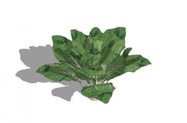 SketchUp Material Model: Vegetable Landscape Textures and Components-BIM WORLD
