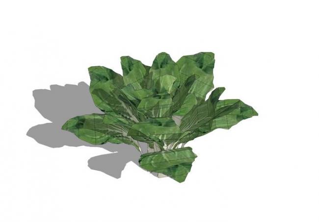 SketchUp Material Model: Vegetable Landscape Textures and Components