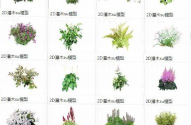 SketchUp Materials: 2D Plants, Shrubs, Flowers, and Landscape Components-BIM WORLD
