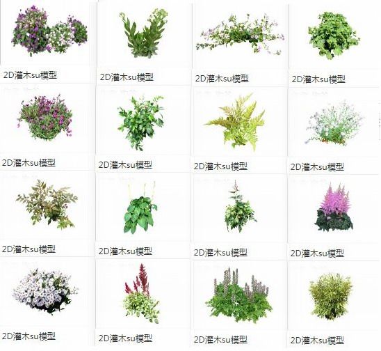 SketchUp Materials: 2D Plants, Shrubs, Flowers, and Landscape Components