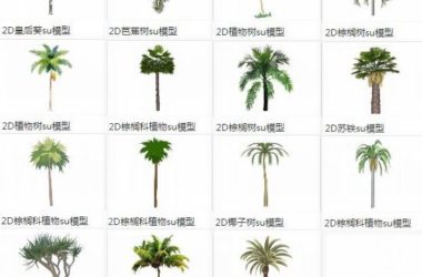 SketchUp Material Library: 2D Palm and Banana Tree Models-BIM WORLD