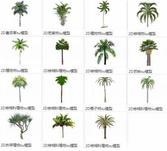 SketchUp Material Library: 2D Palm and Banana Tree Models