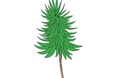SketchUp Material Model: 2D Dragon Blood Tree Landscape Plant Component-BIM WORLD