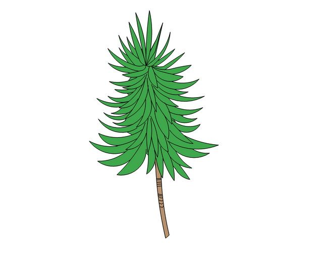 SketchUp Material Model: 2D Dragon Blood Tree Landscape Plant Component