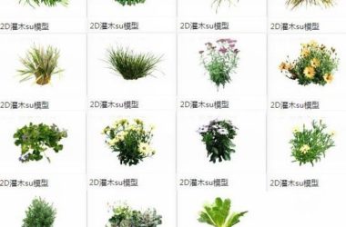 SketchUp Materials: 2D Plants, Shrubs, and Landscape Components-BIM WORLD