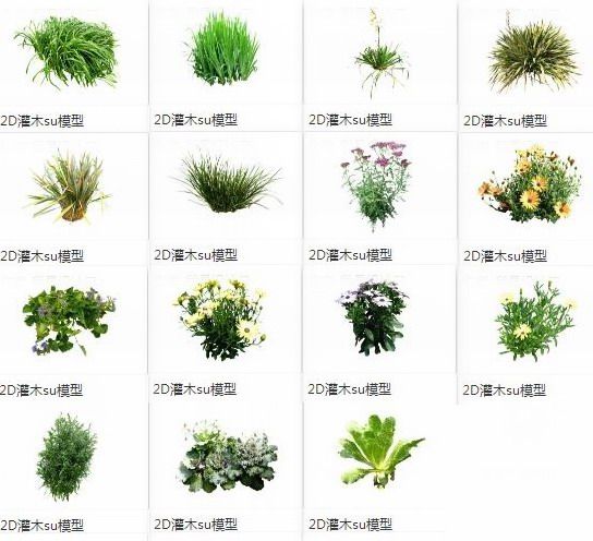 SketchUp Materials: 2D Plants, Shrubs, and Landscape Components