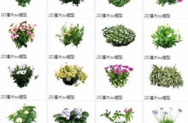 SketchUp Materials: Shrubs, 2D Plants, and Landscape Components-BIM WORLD
