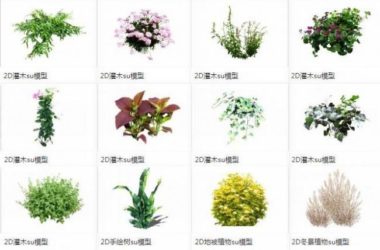 SketchUp Materials Collection: Shrubs, Ground Cover Plants, and 2D Landscape Elements-BIM WORLD