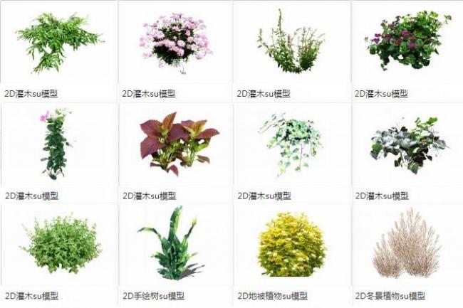 SketchUp Materials Collection: Shrubs, Ground Cover Plants, and 2D Landscape Elements