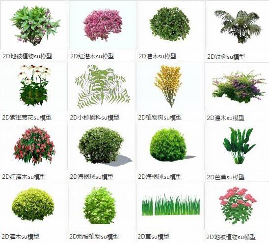 SketchUp Material Library: Shrubs, Ground Covers, Grasses, and 2D Landscape Elements Including Palms and Tung Trees