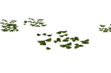 SketchUp Material Model: Small Leaf Landscape Material Component-BIM WORLD
