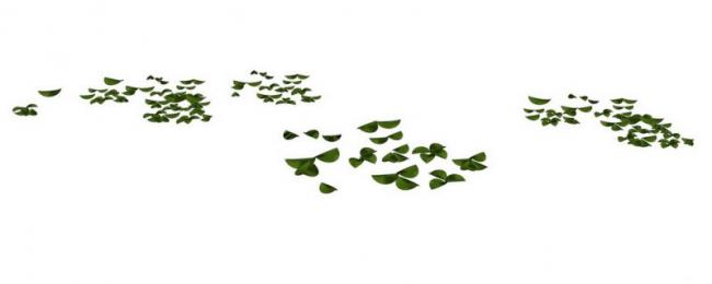 SketchUp Material Model: Small Leaf Landscape Material Component