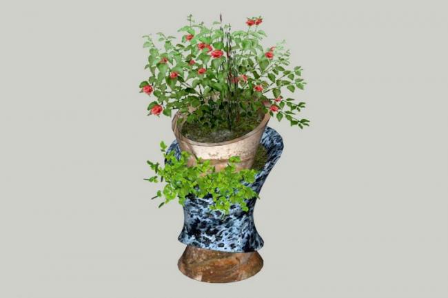 SketchUp Material Model: Modern Art Bowl Landscape Component