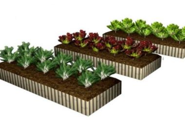 SketchUp Materials for Vegetable Gardens, Flower Beds, and Landscape Components-BIM WORLD
