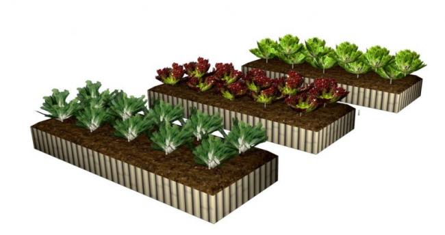 SketchUp Materials for Vegetable Gardens, Flower Beds, and Landscape Components