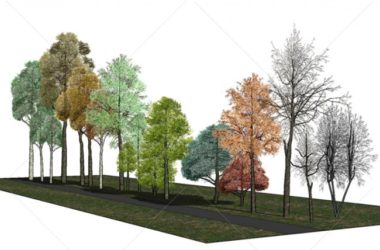 SketchUp Material Model: Classic Realistic 2D Plant Components-BIM WORLD