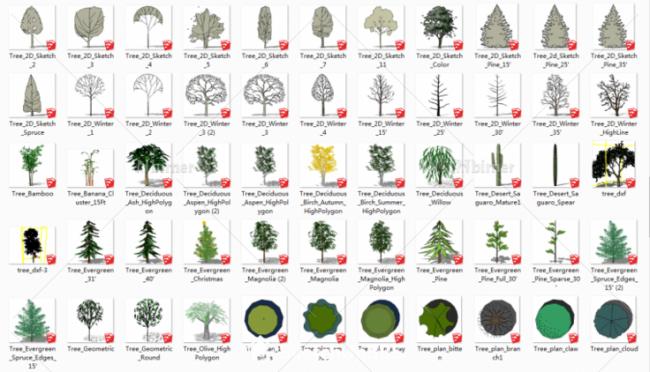 SketchUp Materials for Landscape Plant Models: Comprehensive Component Guide