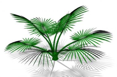 SketchUp 3D Plant and Tree Material Components Model-BIM WORLD