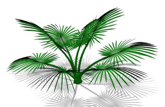 SketchUp 3D Plant and Tree Material Components Model