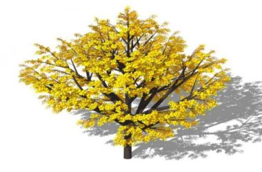 SketchUp Material Model: 3D Plant and Tree Component for SU-BIM WORLD
