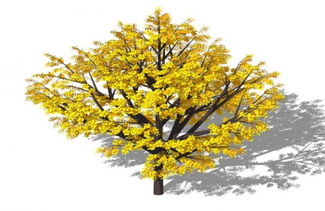 SketchUp Material Model: 3D Plant and Tree Component for SU