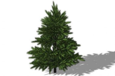 SketchUp Material Components for 3D Plant and Tree Models-BIM WORLD