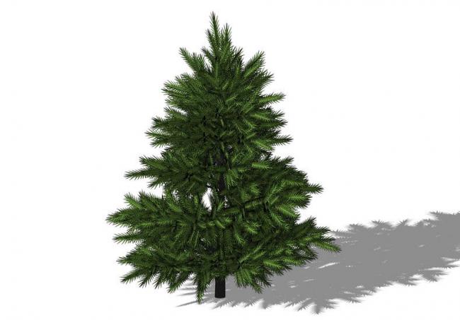 SketchUp Material Components for 3D Plant and Tree Models