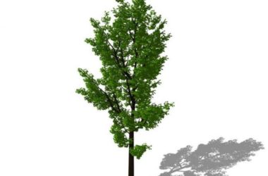 SketchUp 3D Plant and Tree Material Components Model-BIM WORLD
