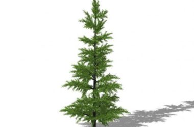 SketchUp 3D Plant and Tree Material Components Model-BIM WORLD