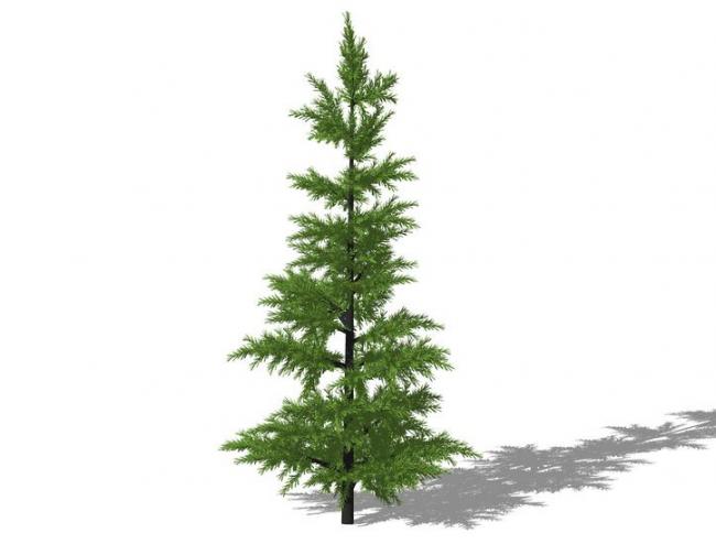 SketchUp 3D Plant and Tree Material Components Model