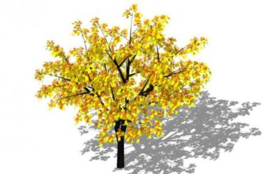 SketchUp Material and 3D Plant Tree Model Components-BIM WORLD