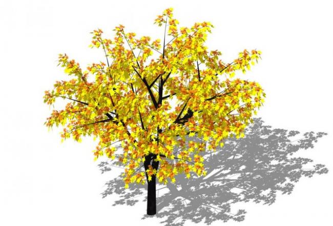 SketchUp Material and 3D Plant Tree Model Components