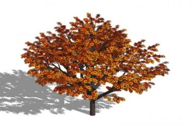 SketchUp 3D Plant and Tree Material Components Model-BIM WORLD