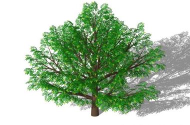 SketchUp Material Library: 3D Plant and Tree Models with Textures-BIM WORLD