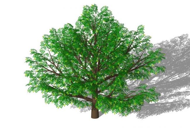 SketchUp Material Library: 3D Plant and Tree Models with Textures