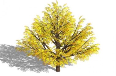 SketchUp Material Models: 3D Plant and Tree Components for SU-BIM WORLD