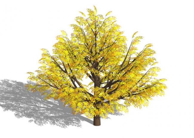 SketchUp Material Models: 3D Plant and Tree Components for SU