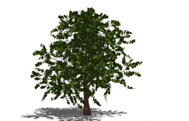 SketchUp Material Library: 3D Plant and Tree Models with Textures