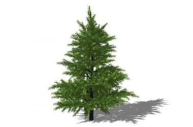 SketchUp 3D Plant and Tree Material Components Model-BIM WORLD