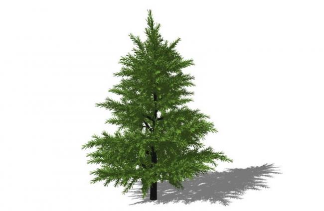 SketchUp 3D Plant and Tree Material Components Model