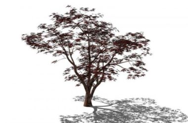 SketchUp 3D Plant and Tree Material Components Model-BIM WORLD