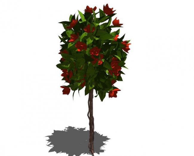 SketchUp 3D Plant and Tree Material Components Model