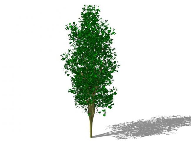 SketchUp Material Library: 3D Plant and Tree Models with Textures
