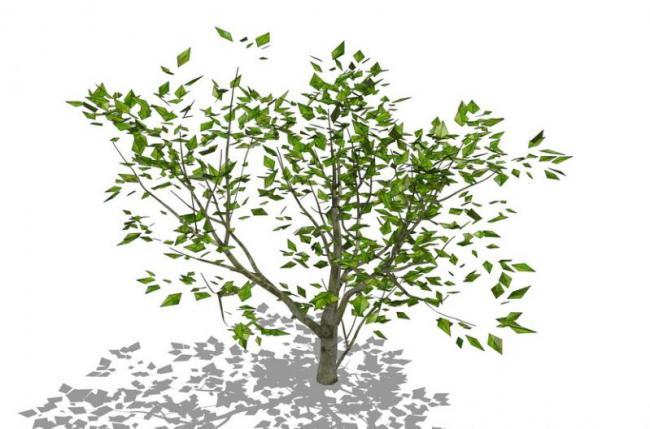 SketchUp Material and 3D Plant Tree Model Components